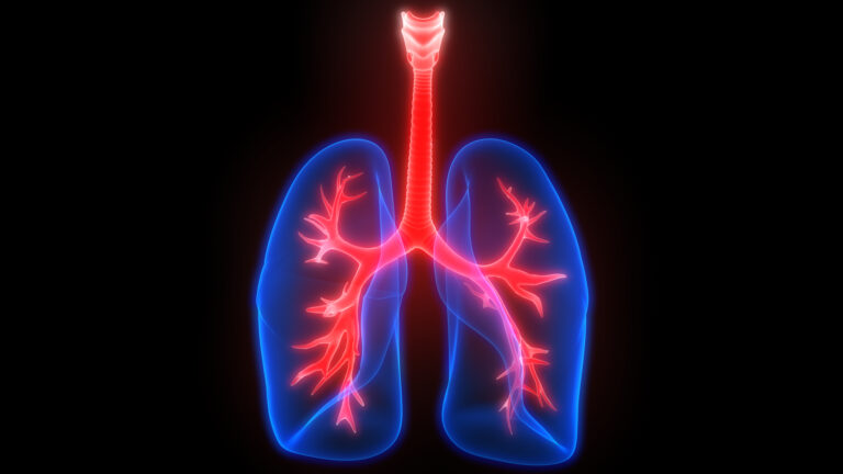 lungs 1